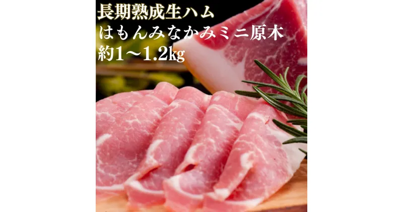 【ふるさと納税】生ハム ハム 肉 グルメ 熟成 原木 国産 ぐんま麦豚 育風堂精肉店 長期熟成生ハム 「はもんみなかみ」ミニ原木・1〜1.2kg