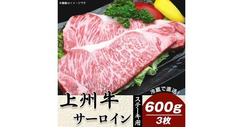 【ふるさと納税】牛肉 ステーキ 3枚 計600g サーロインステーキ 上州牛 冷蔵 送料無料 上州牛サーロイン600g：ステーキ用（3枚）【冷蔵で直送】B-11