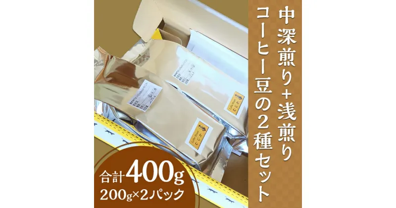 【ふるさと納税】コーヒー豆 珈琲豆 小分け コーヒー 珈琲 こーひー 中深煎り+浅煎りコーヒー豆の2種セット