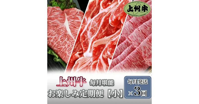 【ふるさと納税】「上州牛」毎月堪能お楽しみ定期便（小）【毎月発送×3回お届け】