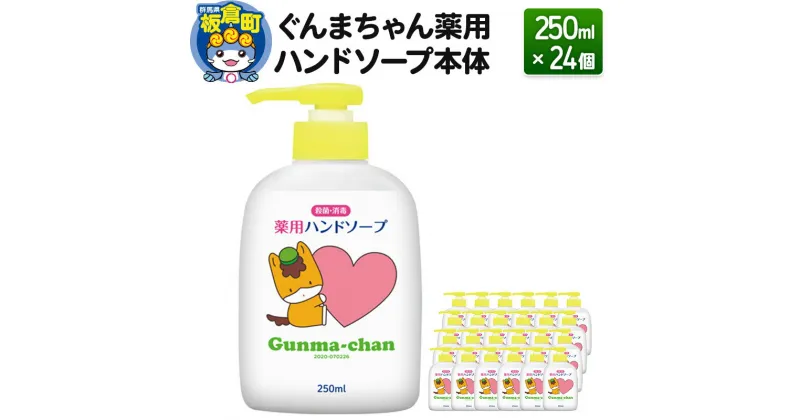 【ふるさと納税】ぐんまちゃん薬用ハンドソープ本体(250ml)×24個入り