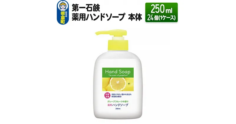 【ふるさと納税】第一石鹸 薬用ハンドソープ 本体 250ml×24個（1ケース）