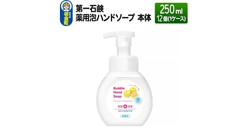 【ふるさと納税】第一石鹸 薬用泡ハンドソープ 本体 250ml×12個（1ケース）