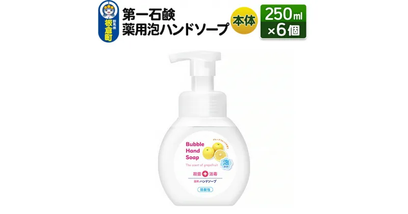 【ふるさと納税】第一石鹸 薬用泡ハンドソープ 本体 250ml×6個