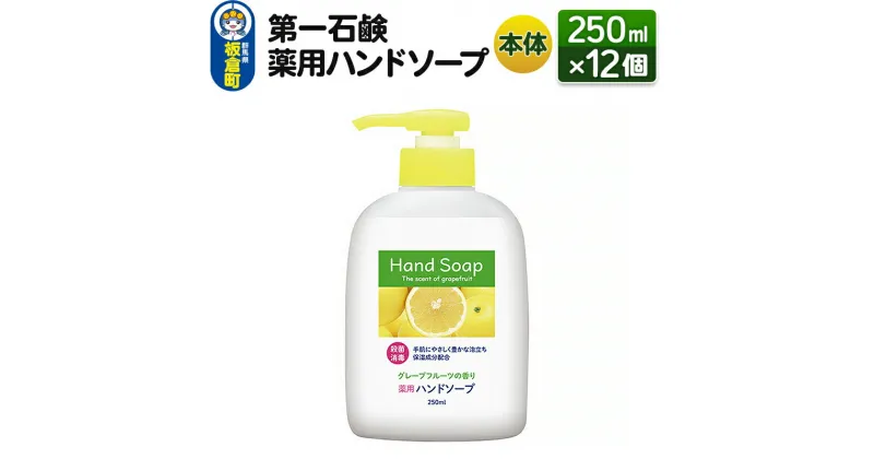 【ふるさと納税】第一石鹸 薬用ハンドソープ 本体 250ml×12個