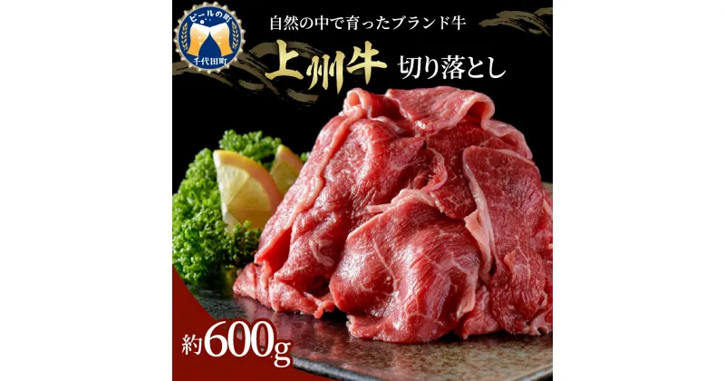 【ふるさと納税】牛肉 切り落とし 国産 上州牛 600g 切落し 肉 お肉 冷凍 牛丼 カレー ビーフシチュー 肉じゃが 食品 グルメ 送料無料 お取り寄せ ギフト 贈り物 プレゼント キャンプ ソロキャン バーベキュー おすすめ コロナ 群馬 千代田