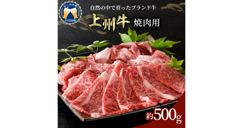 【ふるさと納税】牛肉 焼肉 上州牛 国産 肩ロース 500gブランド牛 バーベキュー BBQ 食品 冷凍 グルメ キャンプ ソロキャン アウトドア 送料無料 お取り寄せ ギフト 贈り物 贈答用 プレゼント おすすめ コロナ