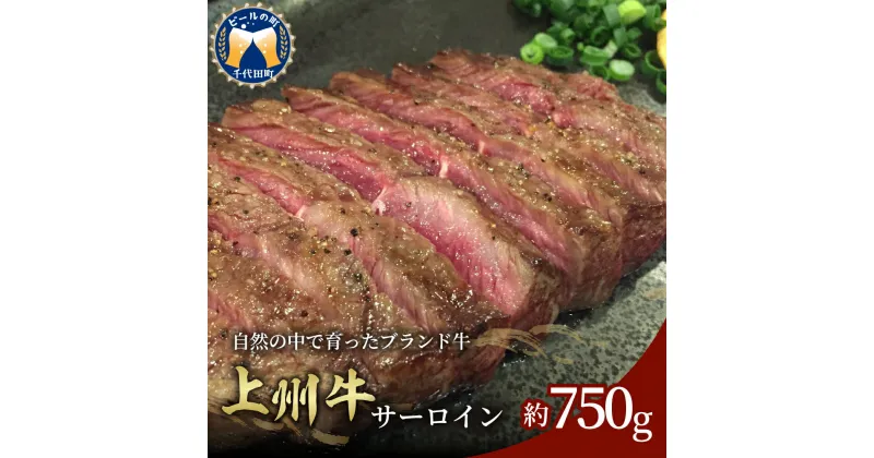 【ふるさと納税】牛肉 ステーキ サーロイン 国産 上州牛 750gブランド牛 肉 冷凍 送料無料 お取り寄せ ギフト 贈り物 贈答用 プレゼント おすすめ キャンプ ソロキャン バーベキュー コロナ