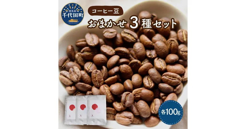 【ふるさと納税】コーヒー豆 おまかせ セット (100g×3種類) スペシャルティコーヒー こだわり 目利き 焙煎 自家焙煎 ティータイム 人気 飲み比べ 群馬県 千代田町