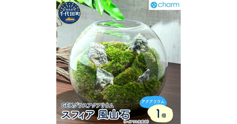 【ふるさと納税】観葉植物 GEX グラスアクアリウム スフィア 風山石 レイアウト完成品 1個 インテリア ナチュラル 自然 リラクゼーション 室内栽培 プレゼント 送料無料 趣味 緑 人気 オススメ 初心者 玄関 リビング キッチン 水槽 テラリウム 株式会社チャーム