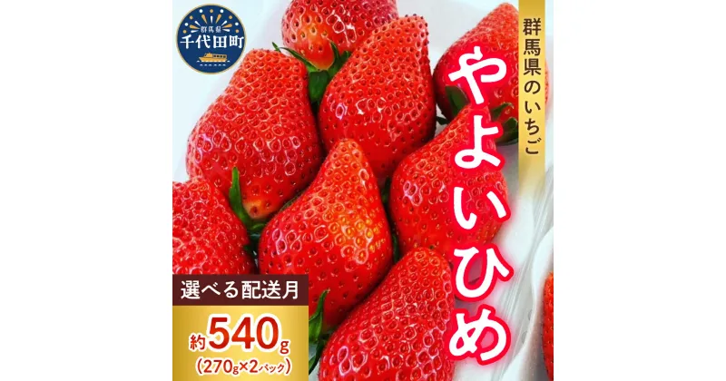 【ふるさと納税】【 先行予約 】 いちご 「 やよいひめ 」約270g×2パック 《 配送時期が選べる / 1月 2月 3月 4月 5月 》 群馬県 千代田町 大粒 完熟収穫 新鮮 数量限定 甘い 贅沢 ご褒美 イチゴ ストロベリー 贈答 贈り物 ギフト プレゼント 果物 春 旬