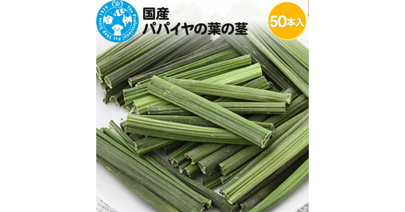 【ふるさと納税】国産 パパイヤの葉の茎 50本入