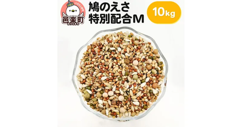 【ふるさと納税】鳩のえさ 特別配合M 10kg×1袋 サイトウ・コーポレーション 飼料