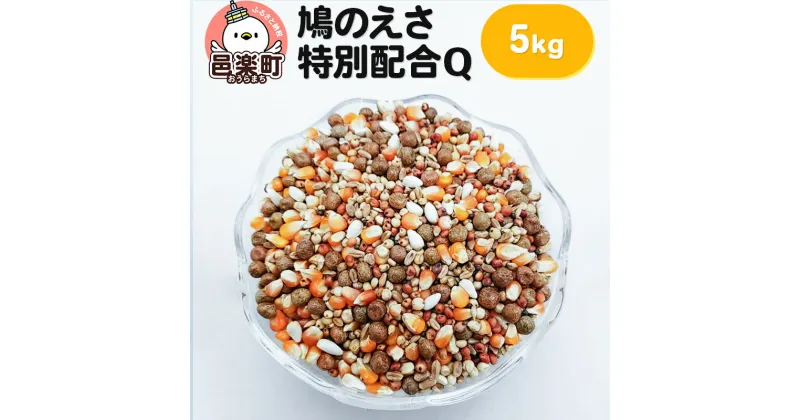 【ふるさと納税】鳩のえさ 特別配合Q 5kg×1袋 サイトウ・コーポレーション 飼料