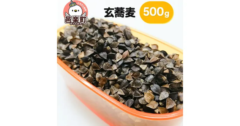 【ふるさと納税】玄蕎麦 500g×1袋 サイトウ・コーポレーション 飼料