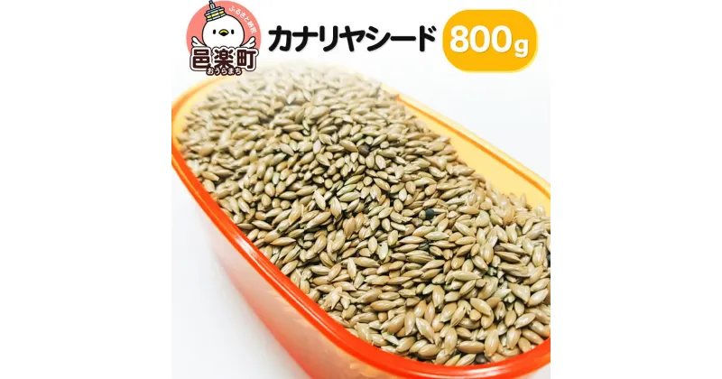 【ふるさと納税】カナリヤシード 800g×1袋 サイトウ・コーポレーション 飼料