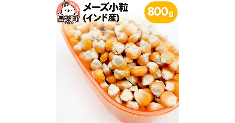 【ふるさと納税】メーズ小粒(インド産) 800g×1袋 サイトウ・コーポレーション 飼料