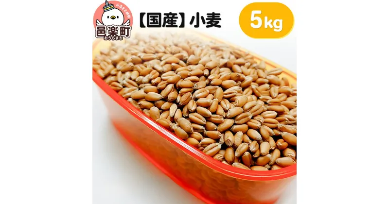 【ふるさと納税】【国産】小麦 5kg×1袋 サイトウ・コーポレーション 飼料