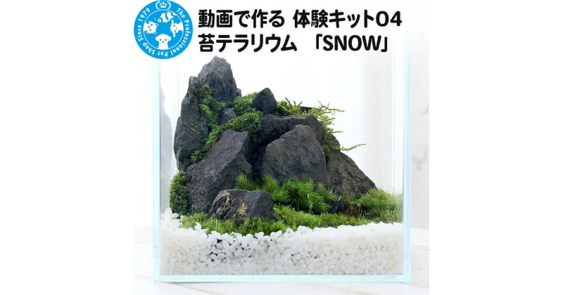 【ふるさと納税】動画で作る 体験キット04 苔テラリウム 「SNOW」