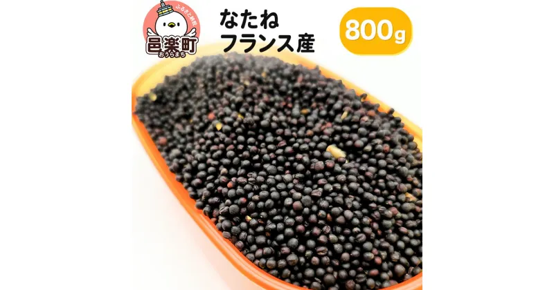 【ふるさと納税】なたね フランス産 800g×1袋 サイトウ・コーポレーション 飼料