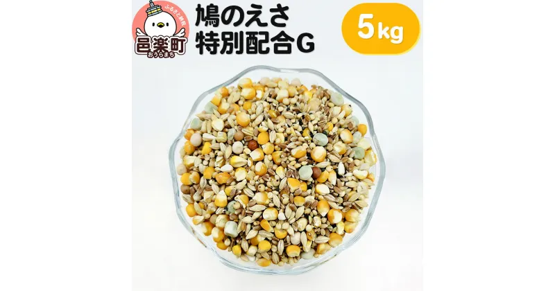 【ふるさと納税】鳩のえさ 特別配合G 5kg×1袋 サイトウ・コーポレーション 飼料