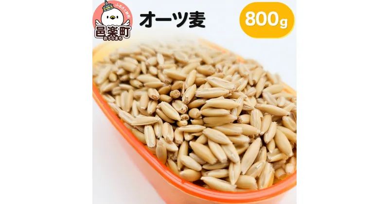 【ふるさと納税】オーツ麦 800g×1袋 サイトウ・コーポレーション 飼料