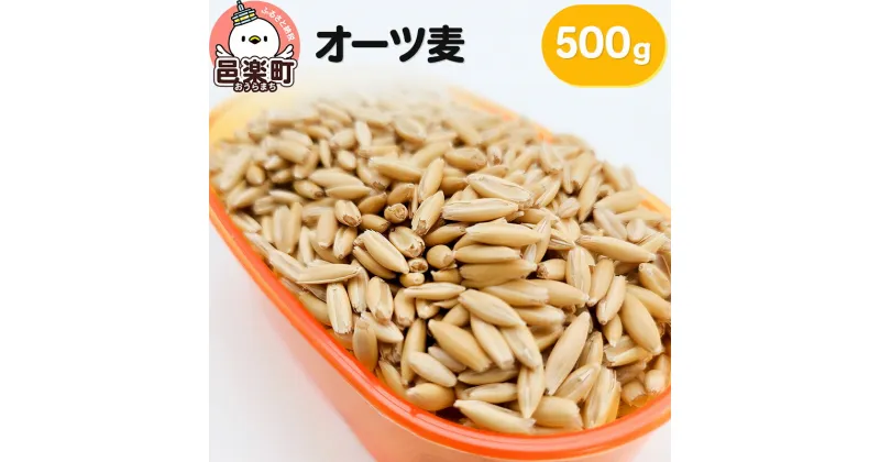 【ふるさと納税】オーツ麦 500g×1袋 サイトウ・コーポレーション 飼料