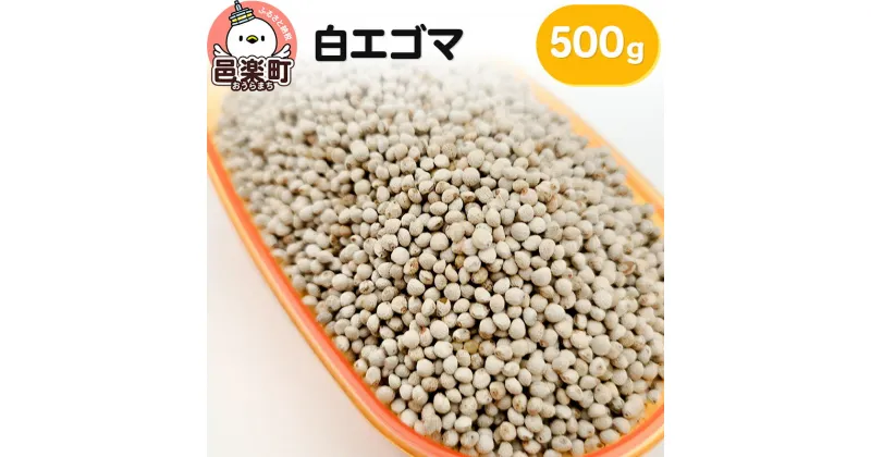 【ふるさと納税】白エゴマ 500g×1袋 サイトウ・コーポレーション 飼料