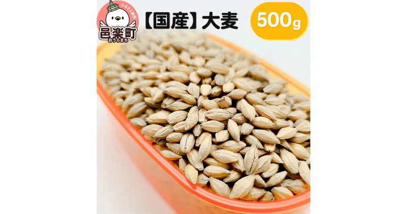 【ふるさと納税】【国産】大麦 500g×1袋 サイトウ・コーポレーション 飼料