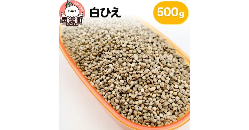 【ふるさと納税】白ひえ 玄ひえ 500g×1袋 サイトウ・コーポレーション 飼料