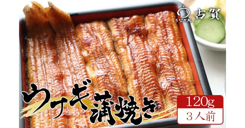 【ふるさと納税】うなぎ処古賀の国産うなぎ本格炭火蒲焼　120g×3人前セット　【11100-0314】