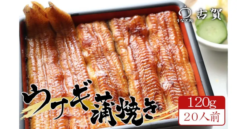 【ふるさと納税】うなぎ処古賀の国産うなぎ本格炭火蒲焼　120g×20人前セット　【11100-0318】