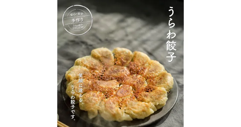 【ふるさと納税】うらわ餃子 生餃子 レギュラー しそ バジル&チーズ 旨辛 惣菜 レトルト ご飯 お弁当 冷凍 送料無料【11100-0724-733】