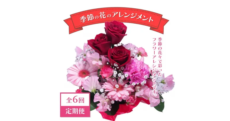 【ふるさと納税】【全6回定期便】季節の花のアレンジメント定期便　1年間！2か月に1度お花が届きます　【11100-0734】