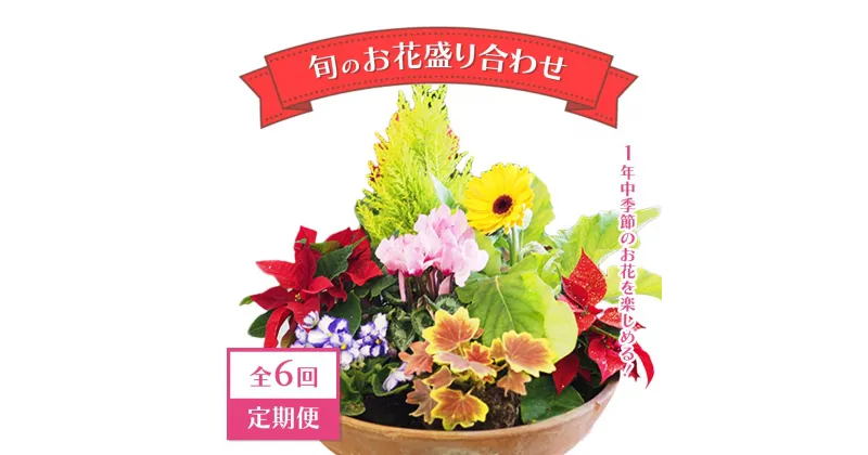 【ふるさと納税】【全6回定期便】1年中季節のお花が楽しめる！旬のお花盛り合わせ（2か月に1回お届け）　【11100-0735】