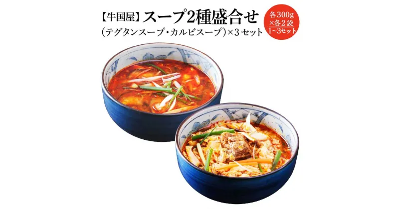 【ふるさと納税】【牛国屋】スープ2種盛合せ（テグタンスープ、カルビスープ） 各300g×2袋 1セット 2セット 3セット　【11100-0782・789・796】惣菜 冷凍 ギフト プレゼント 贈り物 埼玉県 さいたま市 ヒロ・ジャパンフードサービス