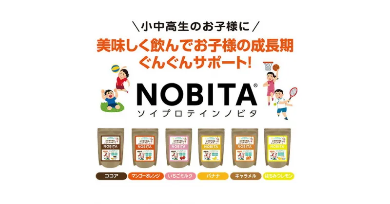 【ふるさと納税】NOBITA(ノビタ)ソイプロテイン ／ 栄養素 飲みやすい 手軽 埼玉県