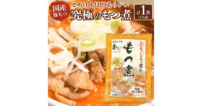 【ふるさと納税】国産豚もつ使用！とろけるほど柔らかい究極のもつ煮 500g×1袋 | もつ もつ煮 究極 やわらか 冷蔵 鍋 加工食品 人気 おすすめ おいしい 送料無料