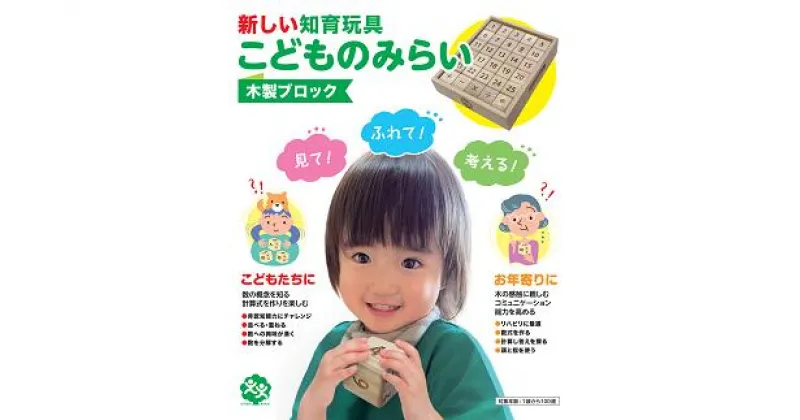 【ふるさと納税】【木製ブロック】新しい知育玩具「こどものみらい」