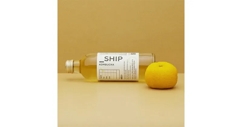 【ふるさと納税】 SHIP KOMBUCHA YUZUユズ(300ml×12本セット)【配送不可地域：離島】【1148439】