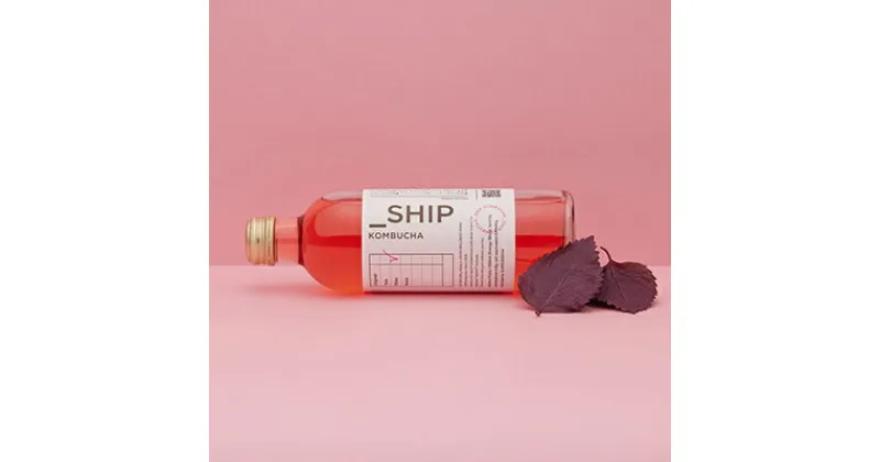 【ふるさと納税】 SHIP KOMBUCHA SHISOシソ(300ml×12本セット)【配送不可地域：離島】【1148440】