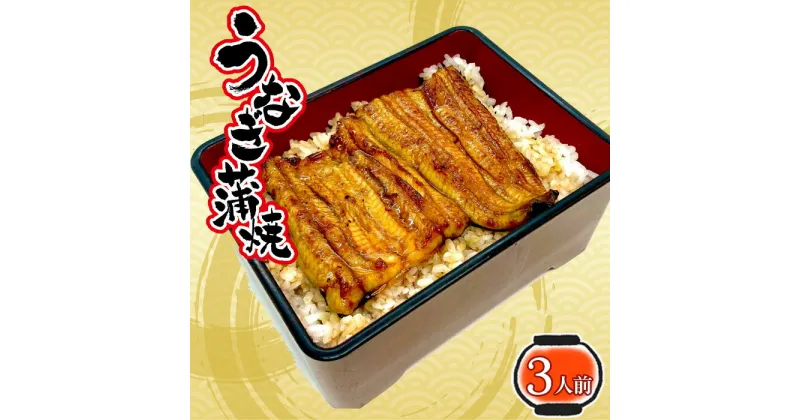 【ふるさと納税】No.413 うなぎ蒲焼（真空パック）3人前 ／ 鰻 ニホンウナギ 厳選 送料無料 埼玉県