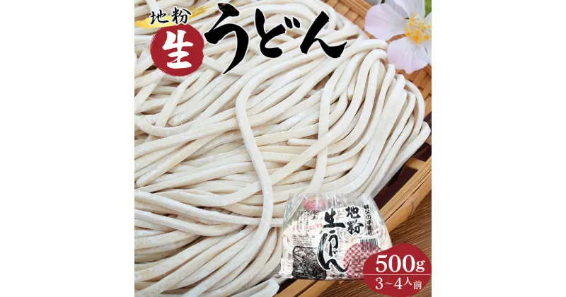 【ふるさと納税】No.407 地粉生うどん500g（3～4人前） ／ 中太麺 麺類 もっちり 送料無料 埼玉県