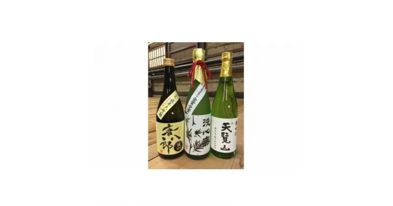 【ふるさと納税】天覧山 大吟醸3本セット　純米大吟醸酒・お酒・日本酒・大吟醸酒　お届け：発注後、2週間程度