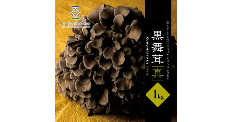 【ふるさと納税】黒舞茸「真」 1kg[52210652]　 舞茸 きのこ マイタケ 　お届け：発注後、1か月程度（生育状況により出荷日数が前後する可能性もありますので、あらかじめ御承知おきください。）