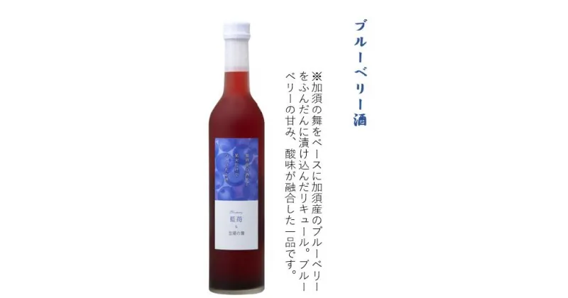 【ふるさと納税】加須産の酒米と果実だけでつくったお酒　ブルーベリー酒　箱入500ml