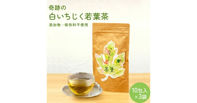 【ふるさと納税】白いちじく茶（3袋）/農薬・化学肥料不使用/ファーストフラッシュ