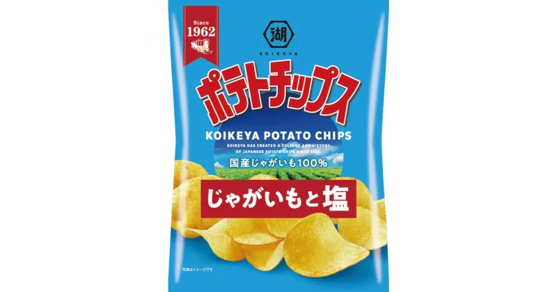 【ふるさと納税】湖池屋　ポテトチップス　じゃがいもと塩　60g×12袋