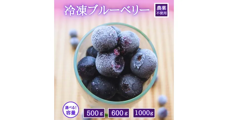 【ふるさと納税】シルクファーム産　冷凍ブルーベリー 500g～1000g