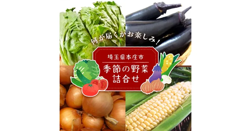 【ふるさと納税】季節の野菜詰合せ 本庄産 旬 野菜 セット 詰合せ ご当地 生鮮品 食品 関東 F5K-108